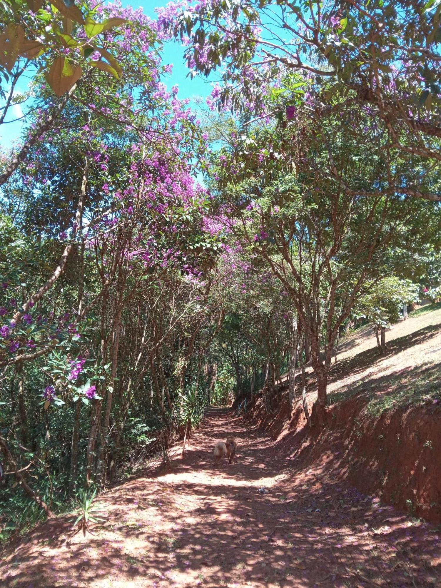 Pousada Casa Mato Taubate Bagian luar foto