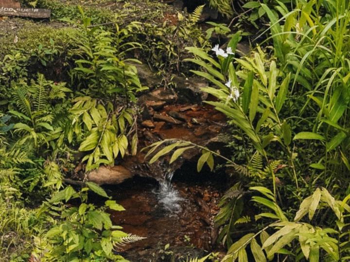 Pousada Casa Mato Taubate Bagian luar foto